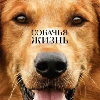 Собачья жизнь