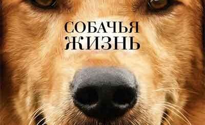 Собачья жизнь