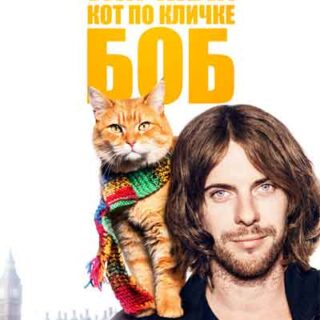 Уличный кот по кличке Боб