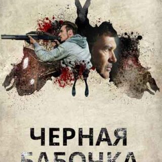 Черная бабочка